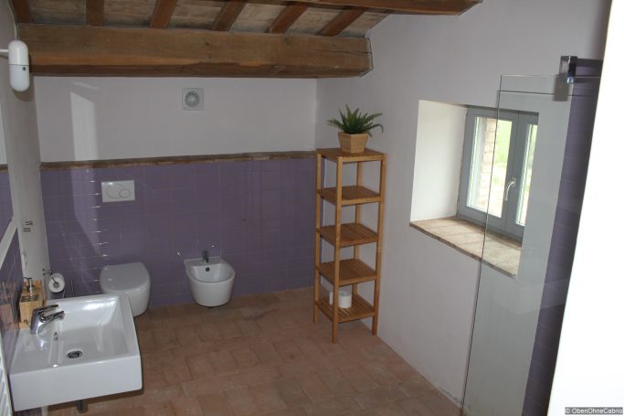 WC Mare
